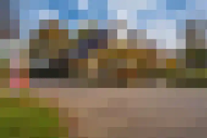 de Els 36 Didam thumbnail 53