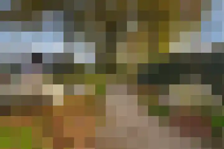 de Els 36 Didam thumbnail 54