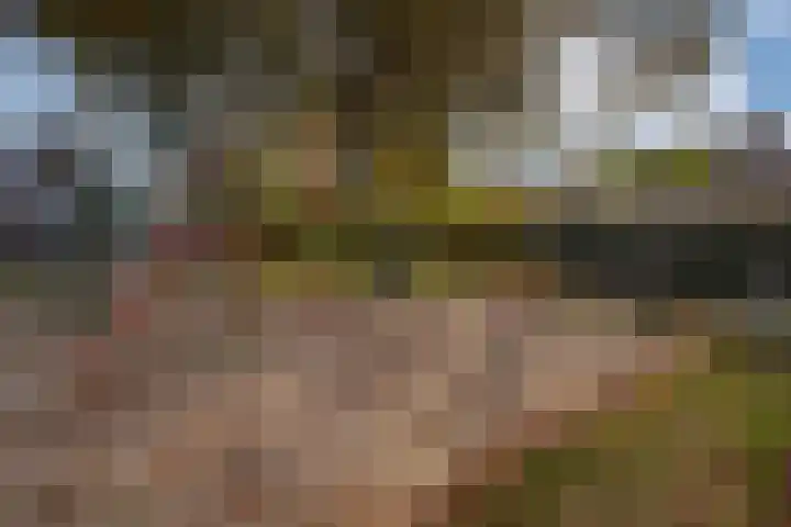 de Els 36 Didam thumbnail 55