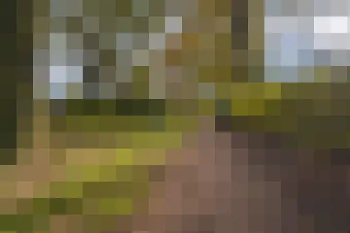 de Els 36 Didam thumbnail 56