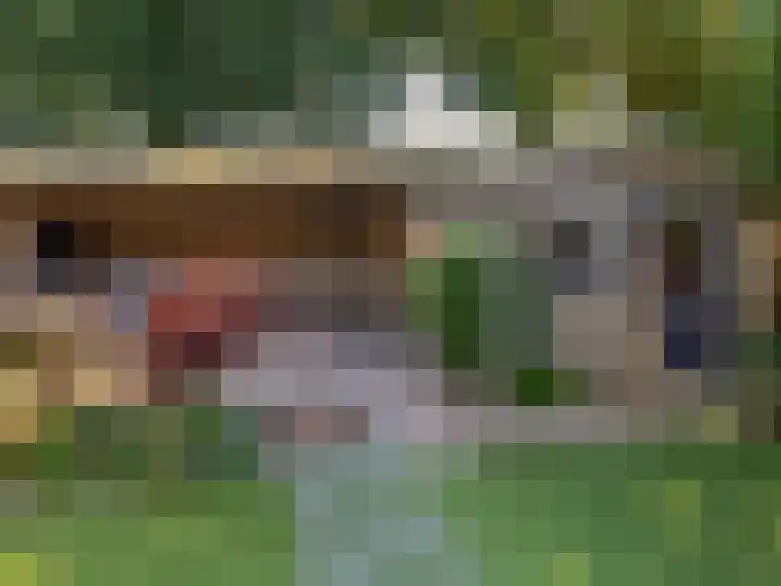 de Els 36 Didam thumbnail 6