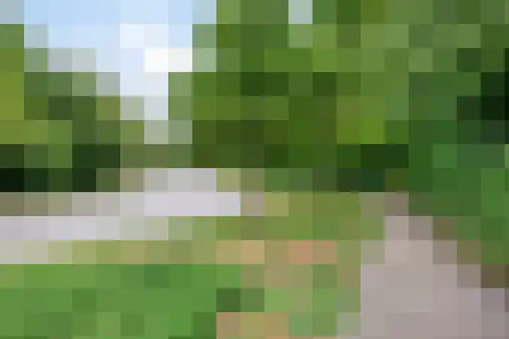 de Els 4 Hellevoetsluis thumbnail 31