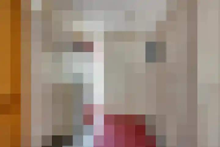 de Els 52 Haaksbergen thumbnail 11
