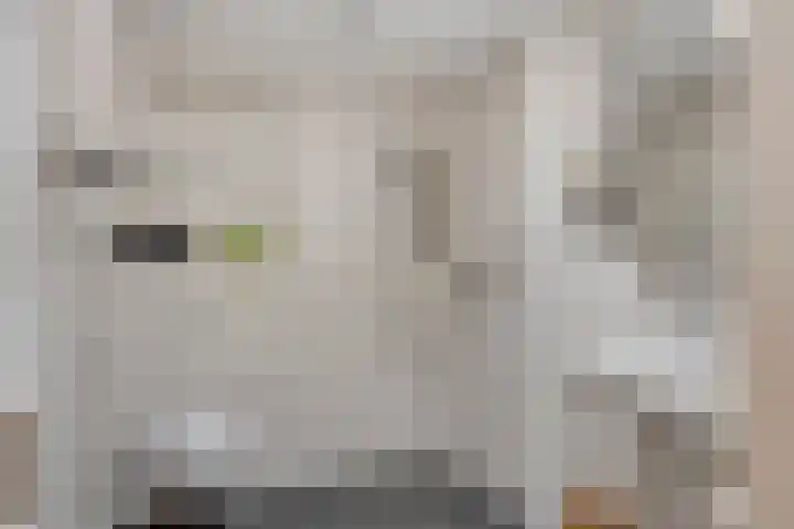 de Els 52 Haaksbergen thumbnail 12