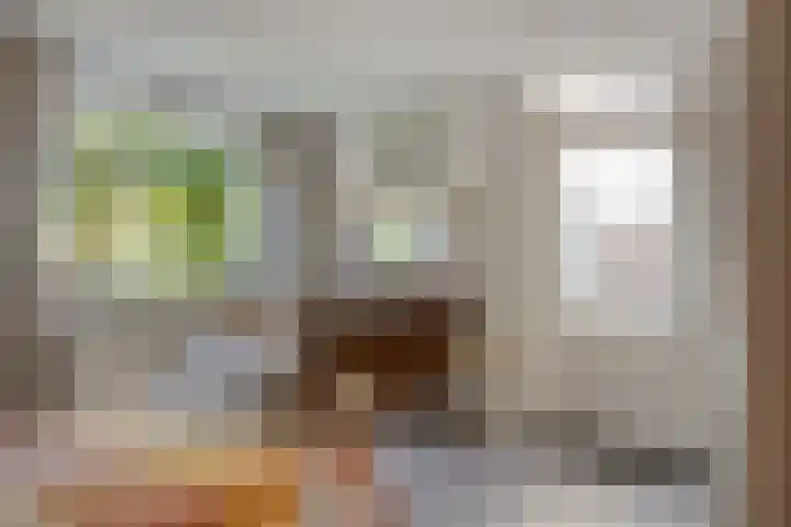 de Els 52 Haaksbergen thumbnail 14