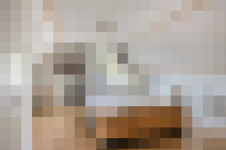 de Els 52 Haaksbergen thumbnail 16