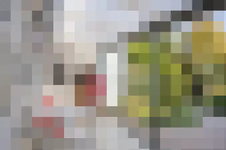 de Els 52 Haaksbergen thumbnail 21