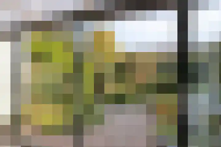 de Els 52 Haaksbergen thumbnail 22