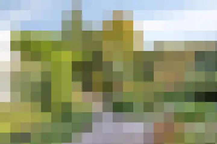 de Els 52 Haaksbergen thumbnail 23