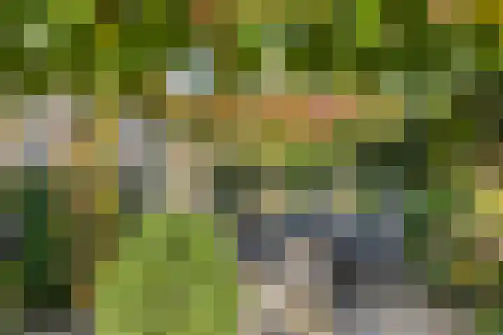 de Els 52 Haaksbergen thumbnail 24