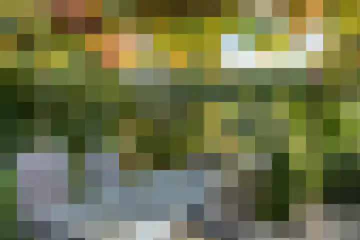 de Els 52 Haaksbergen thumbnail 25