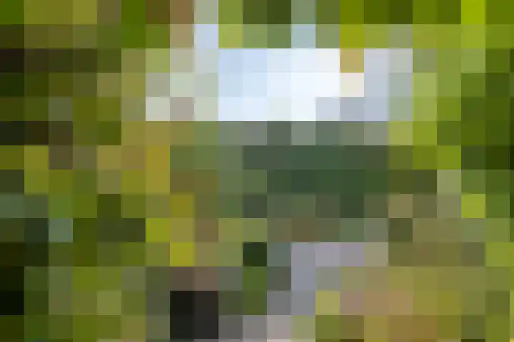 de Els 52 Haaksbergen thumbnail 26