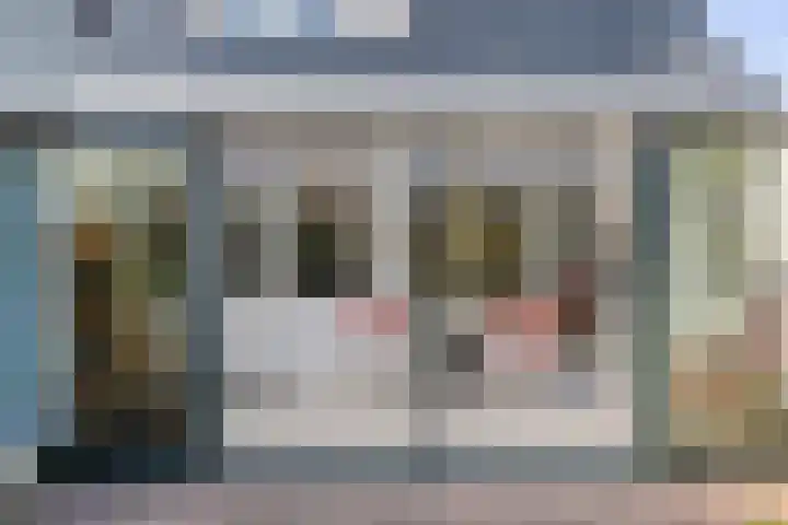 de Els 52 Haaksbergen thumbnail 27