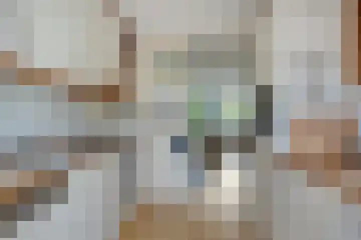 de Els 52 Haaksbergen thumbnail 9