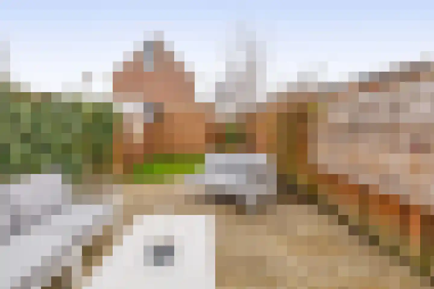 de Els 8 Hellevoetsluis thumbnail 17