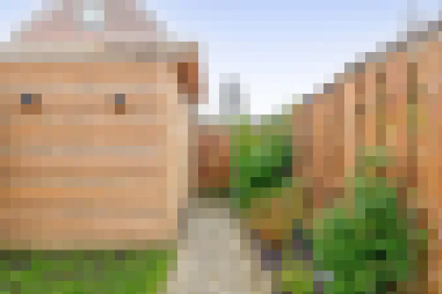 de Els 8 Hellevoetsluis thumbnail 18