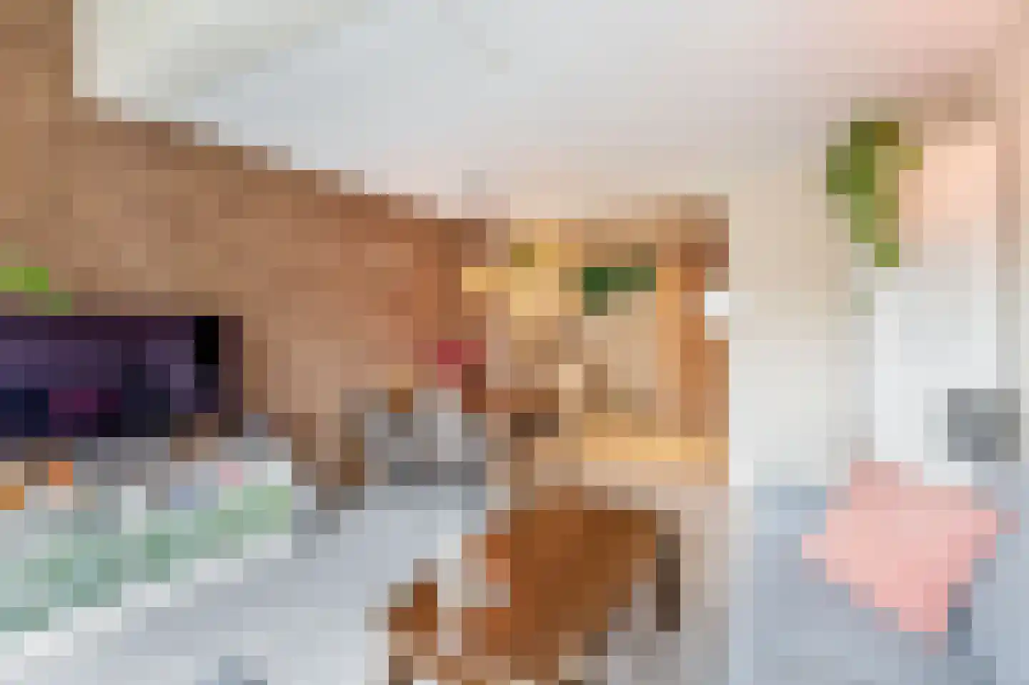 de Els 8 Hellevoetsluis thumbnail 8