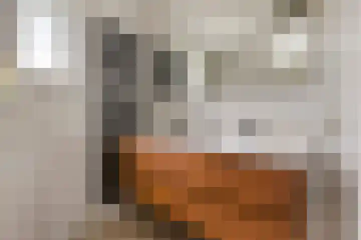De Elshorst 23 Aarle-Rixtel thumbnail 22