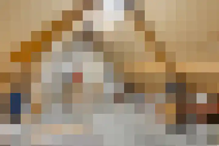 De Elshorst 23 Aarle-Rixtel thumbnail 34