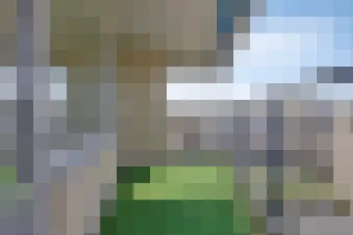 de Elzas 401 Helmond thumbnail 16