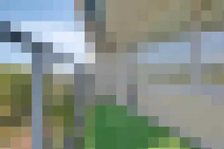 de Elzas 401 Helmond thumbnail 17