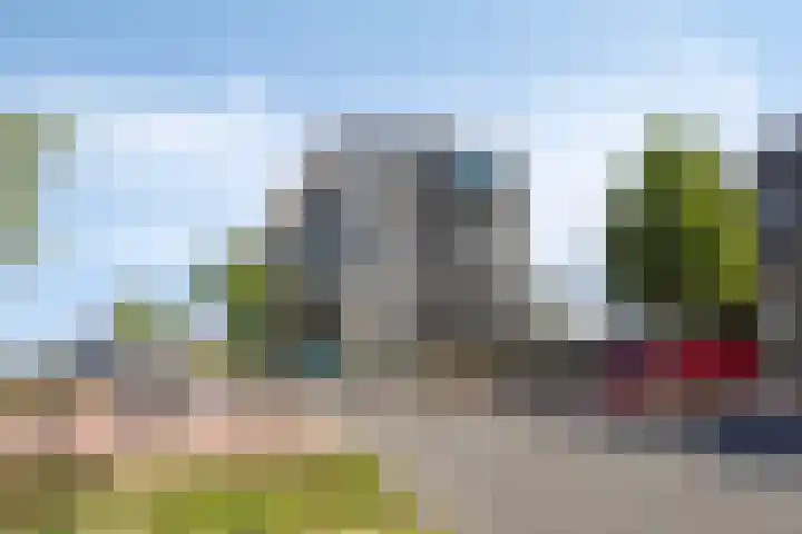 de Elzas 401 Helmond thumbnail 8
