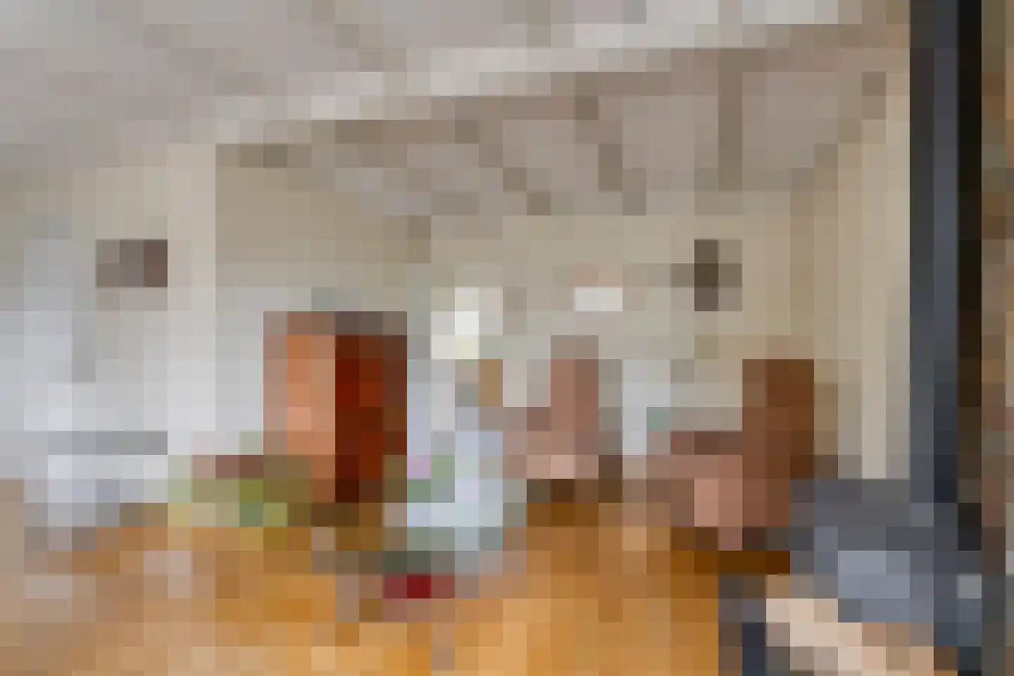 De Elzen 1 Oosterwolde thumbnail 10