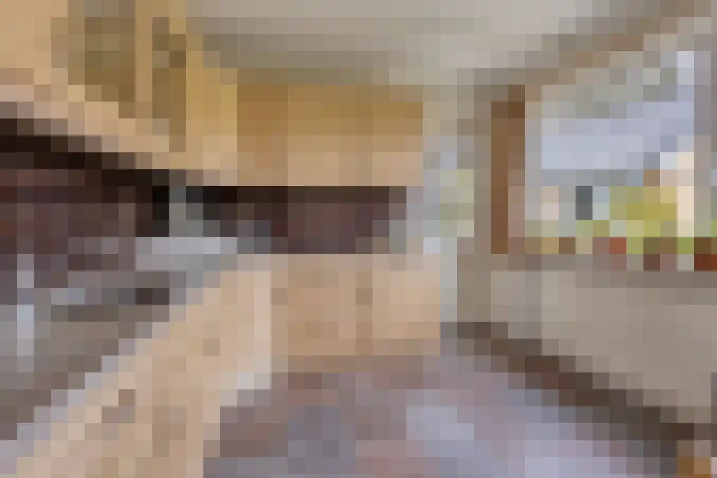 De Elzen 1 Oosterwolde thumbnail 16