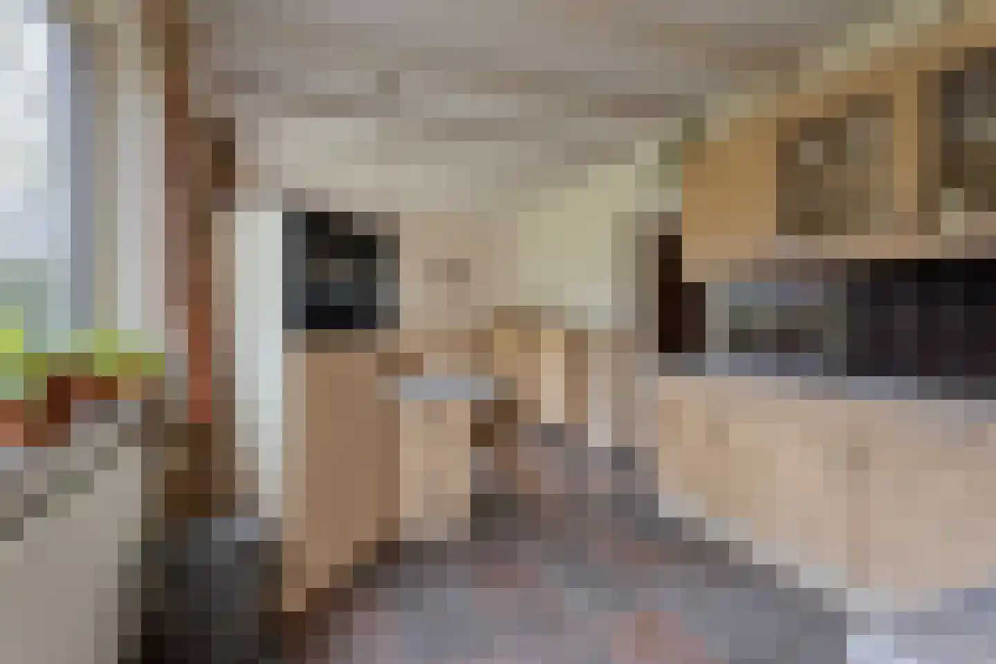 De Elzen 1 Oosterwolde thumbnail 17