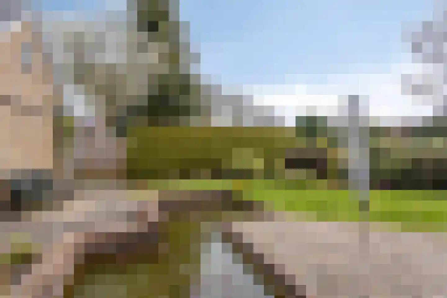 De Elzen 1 Oosterwolde thumbnail 38