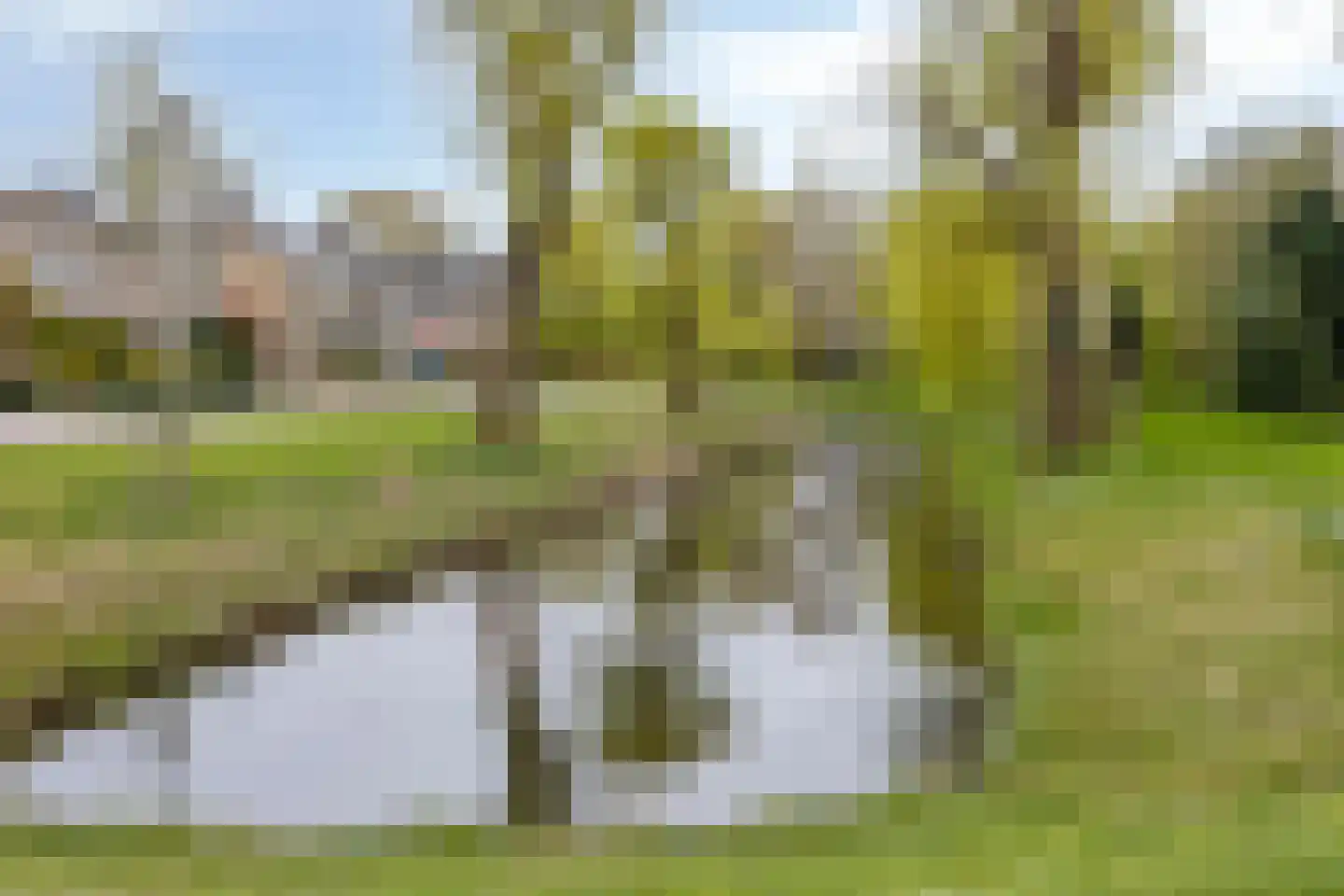 De Elzen 1 Oosterwolde thumbnail 43