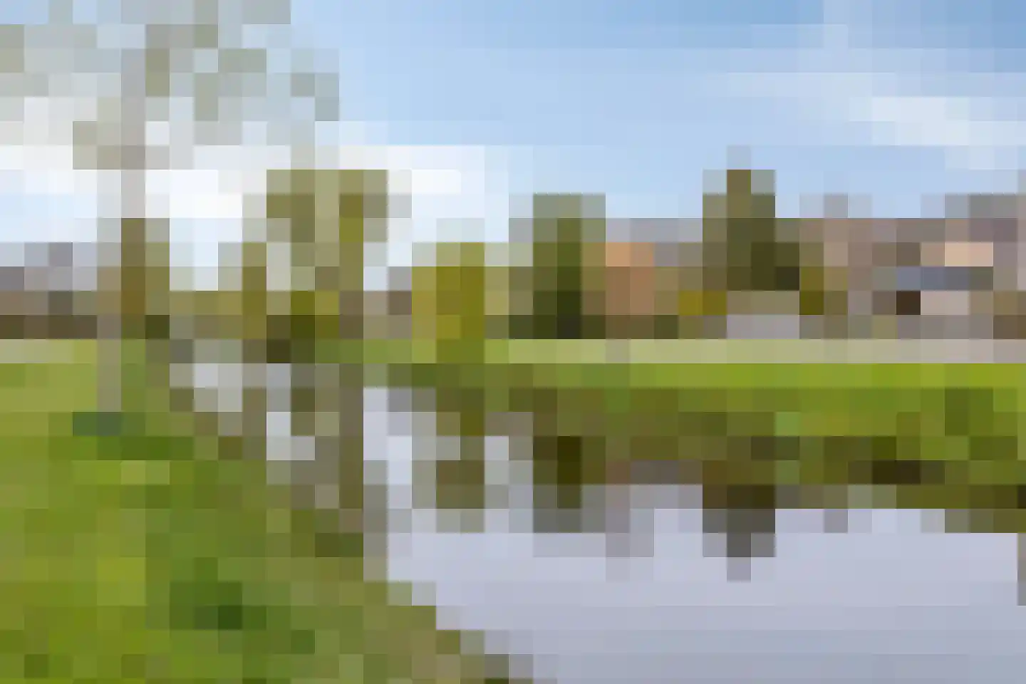 De Elzen 1 Oosterwolde thumbnail 44