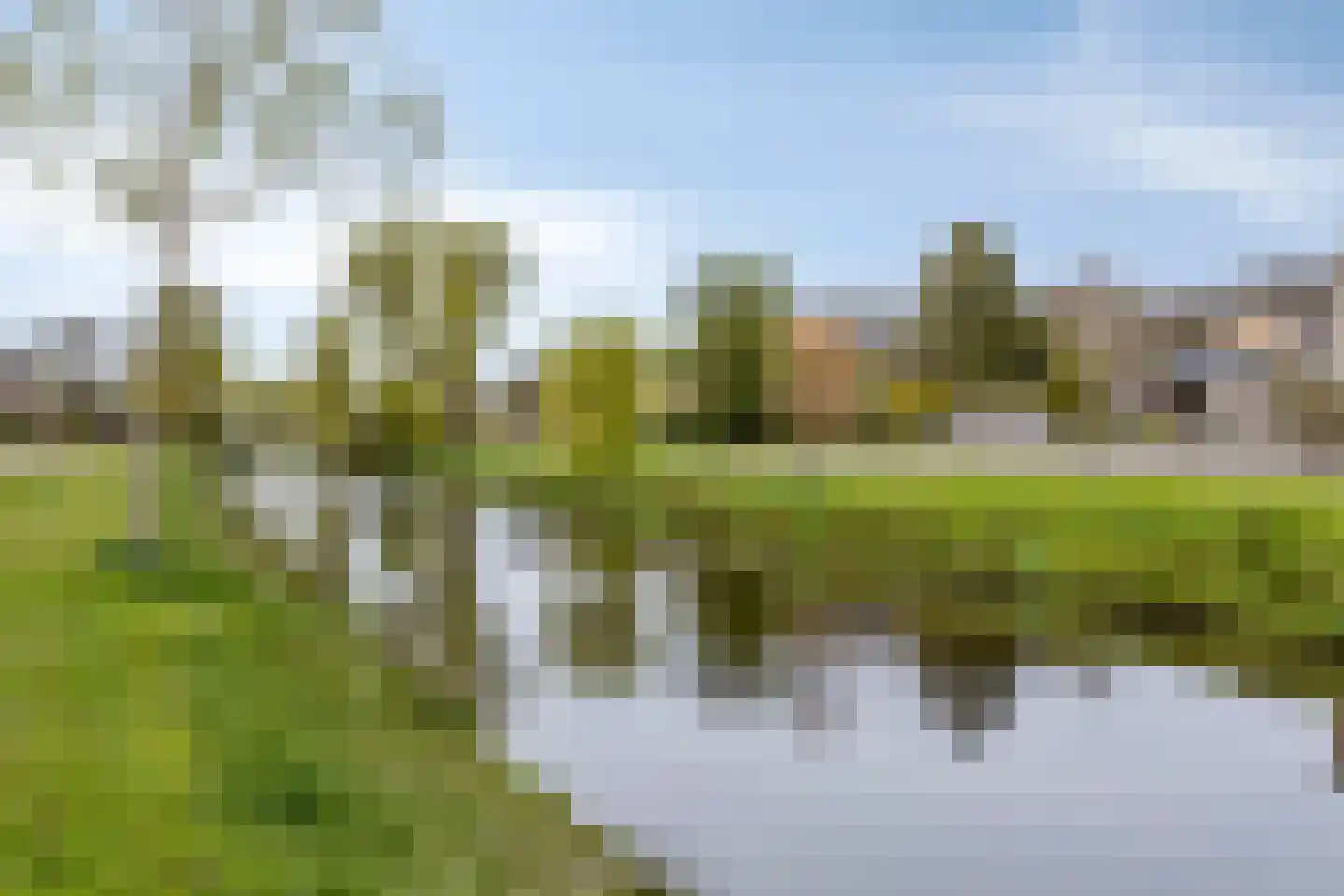 De Elzen 1 Oosterwolde thumbnail 45