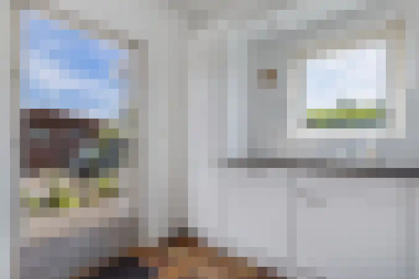De Elzen 14 Giethoorn thumbnail 14