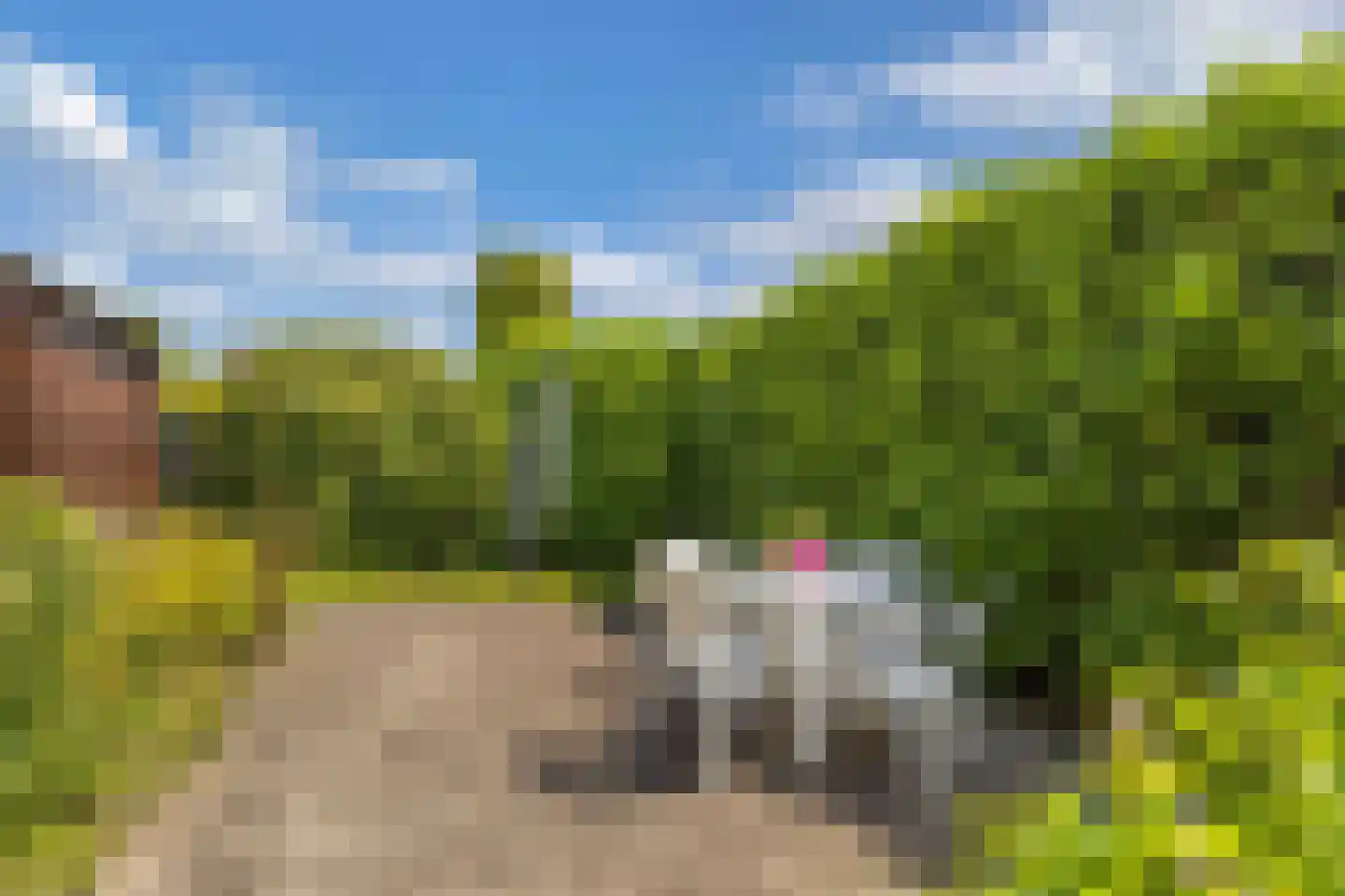 De Elzen 14 Giethoorn thumbnail 31