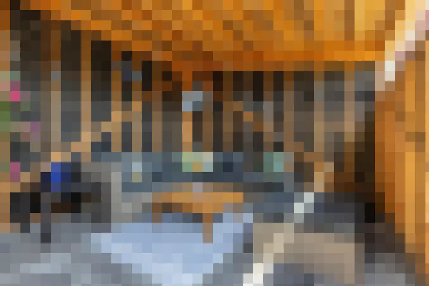 De Elzen 14 Giethoorn thumbnail 34