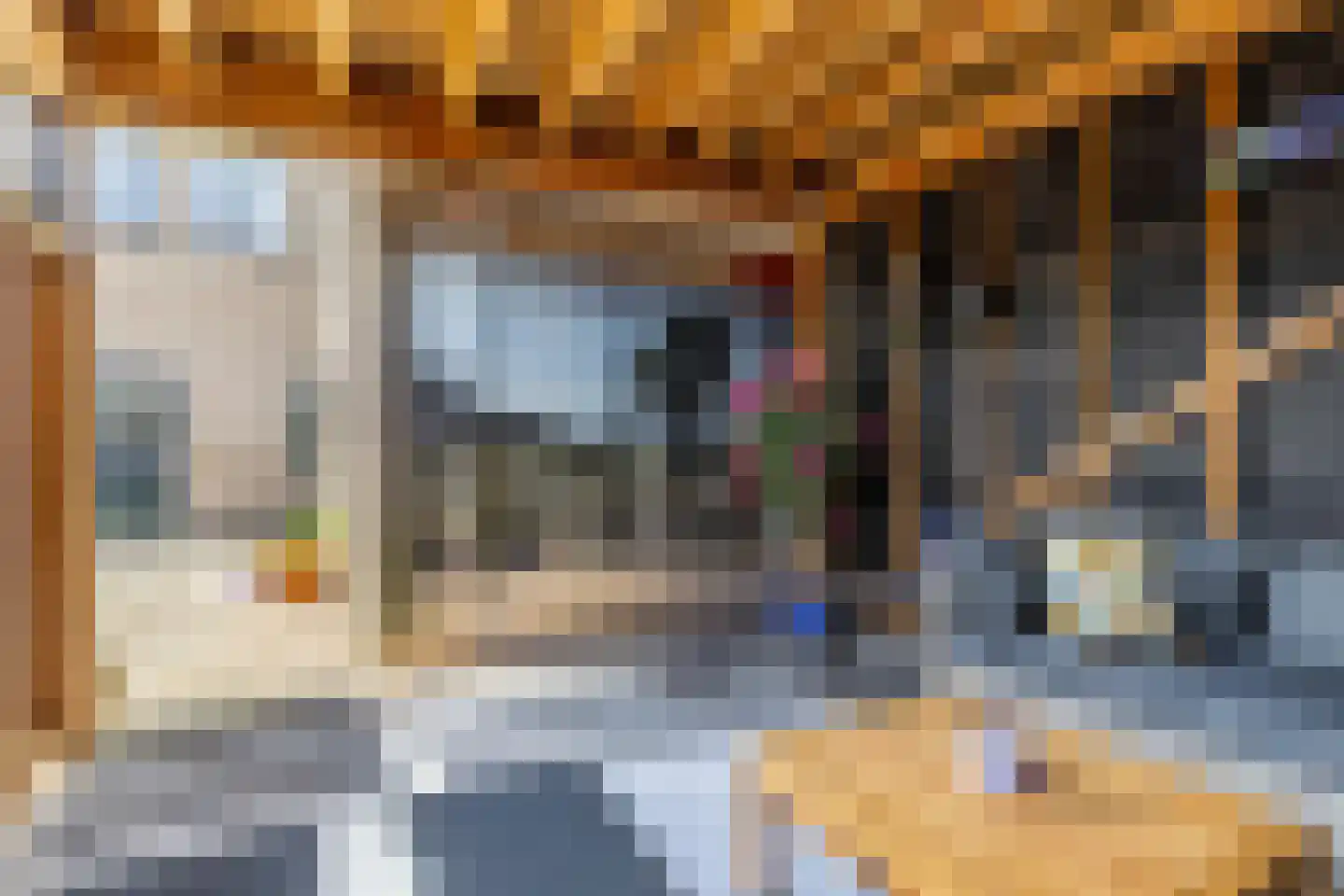 De Elzen 14 Giethoorn thumbnail 35