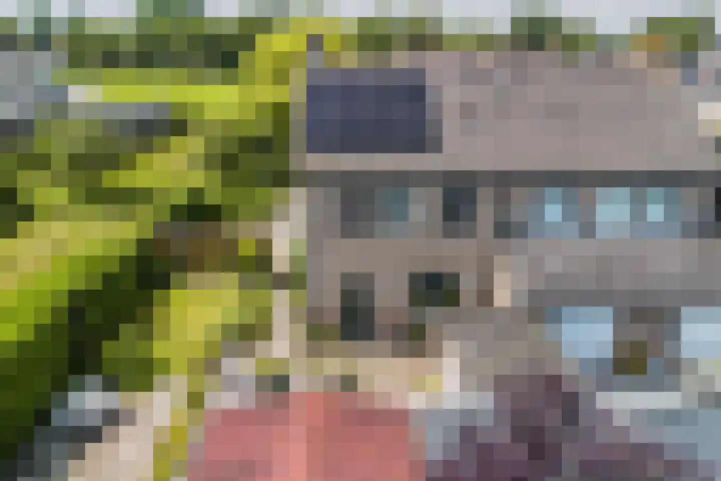 De Elzen 14 Giethoorn thumbnail 39