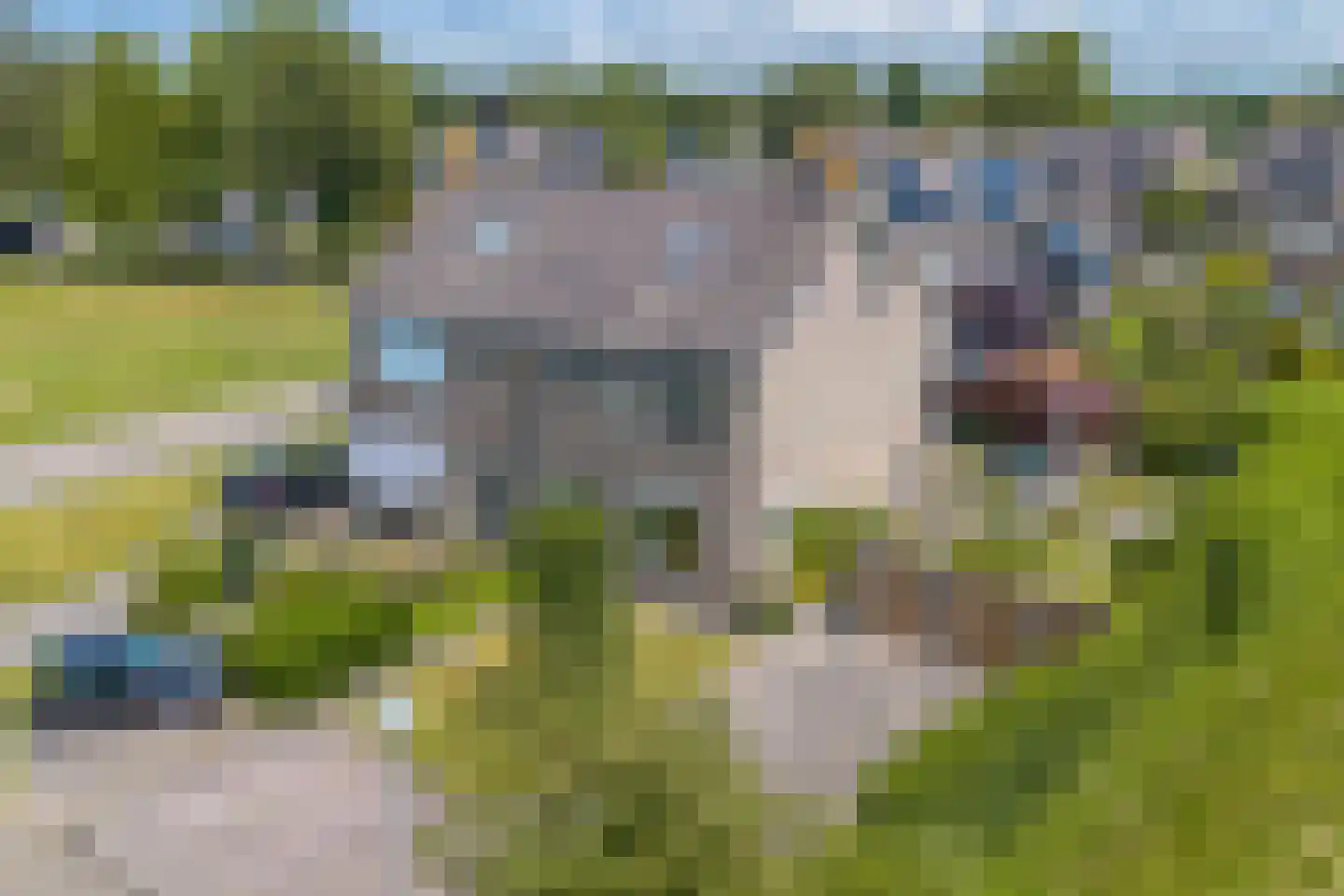 De Elzen 14 Giethoorn thumbnail 40