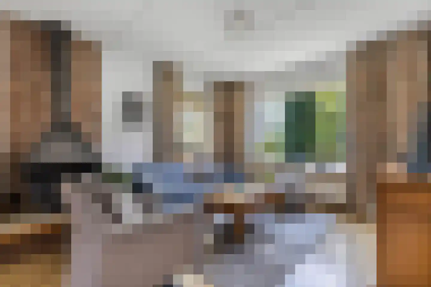 De Elzen 14 Giethoorn thumbnail 8