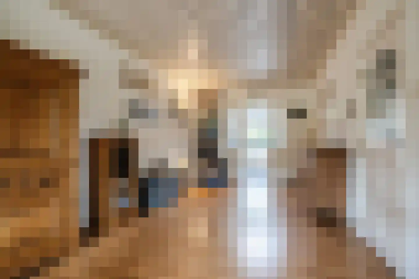 De Elzen 18 Vroomshoop thumbnail 11