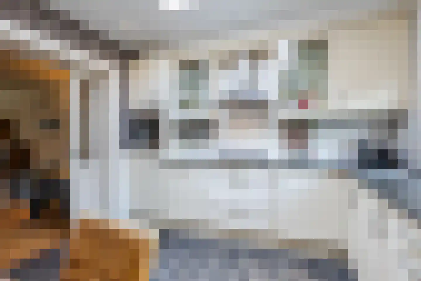 De Elzen 18 Vroomshoop thumbnail 16