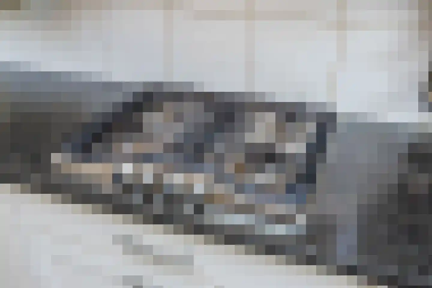De Elzen 18 Vroomshoop thumbnail 17