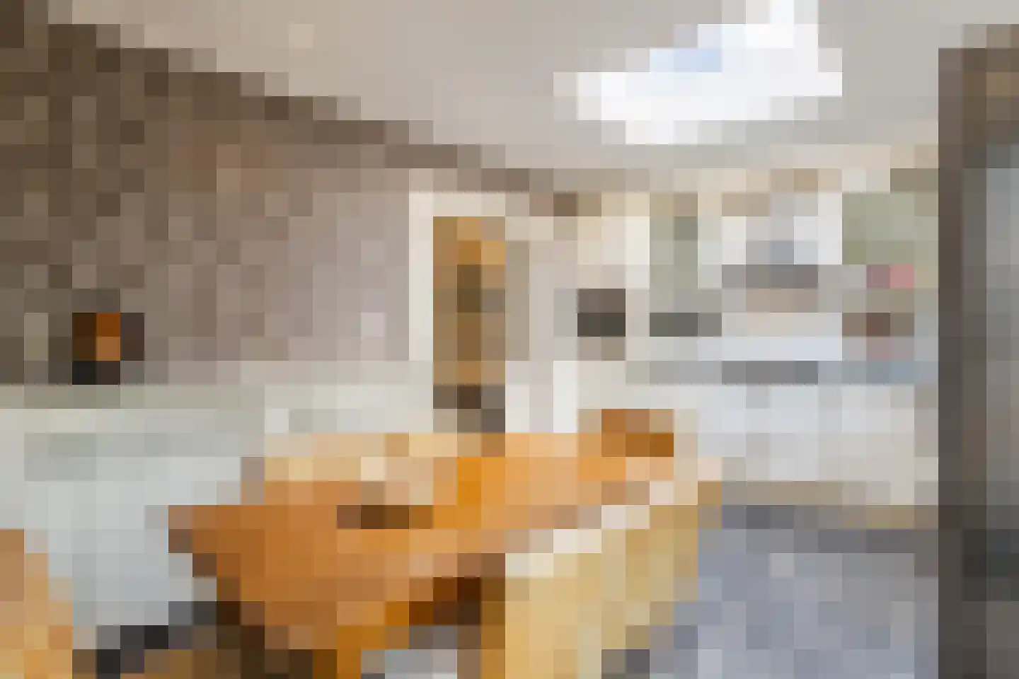 De Elzen 18 Vroomshoop thumbnail 20