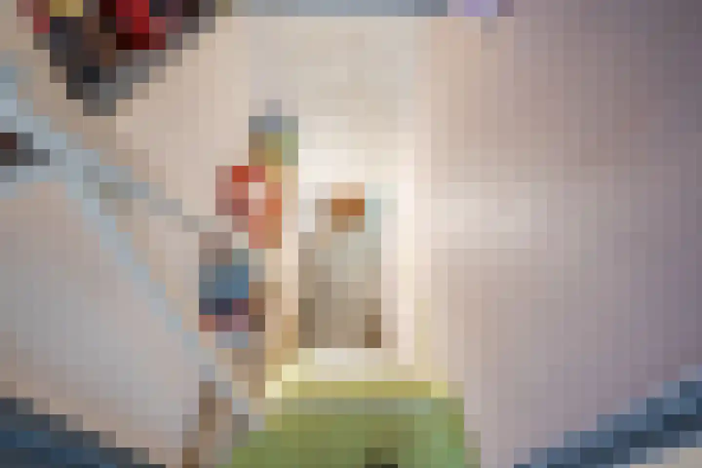 De Elzen 18 Vroomshoop thumbnail 22