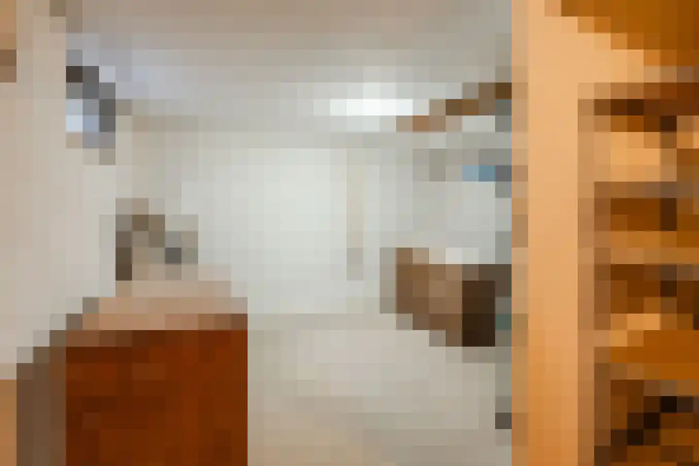 De Elzen 18 Vroomshoop thumbnail 23