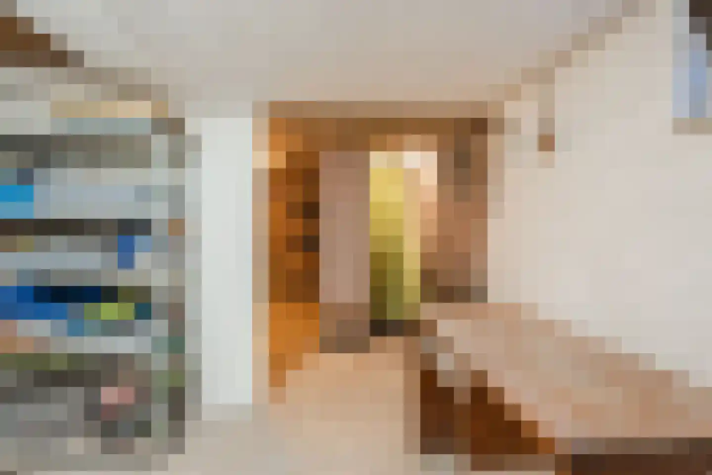 De Elzen 18 Vroomshoop thumbnail 24