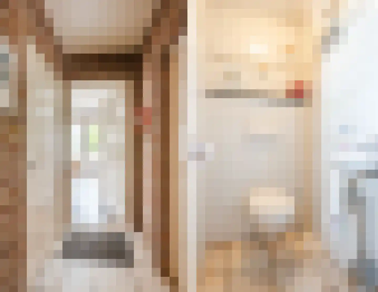 De Elzen 18 Vroomshoop thumbnail 25