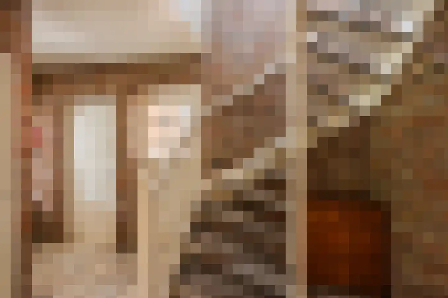De Elzen 18 Vroomshoop thumbnail 26