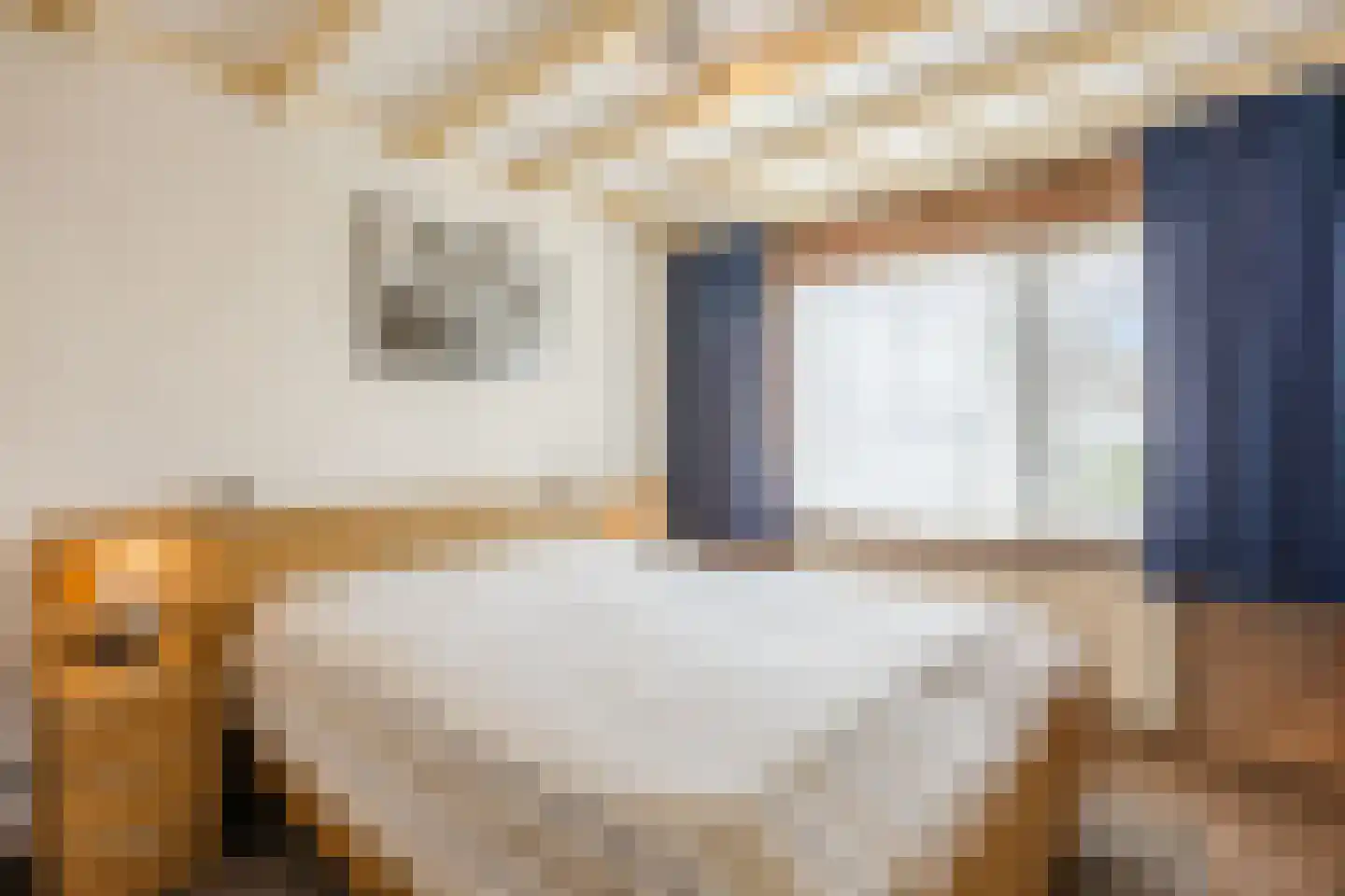 De Elzen 18 Vroomshoop thumbnail 27